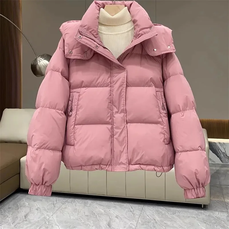 Miniature 4